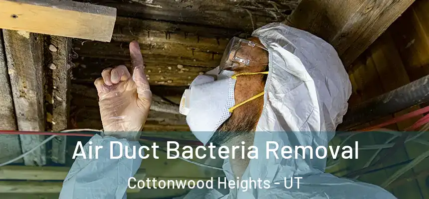  Air Duct Bacteria Removal Cottonwood Heights - UT