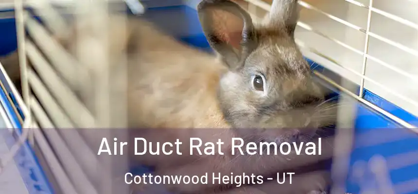 Air Duct Rat Removal Cottonwood Heights - UT
