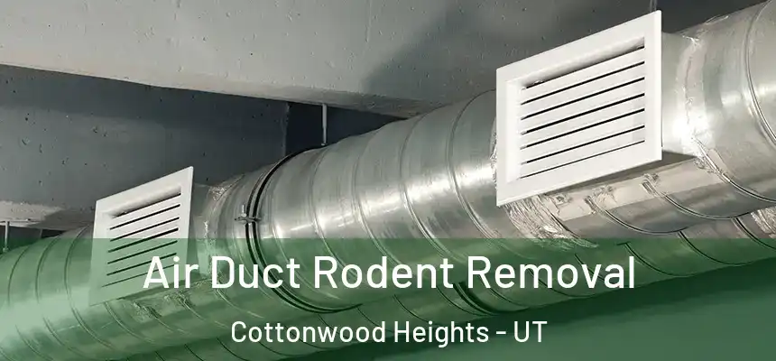  Air Duct Rodent Removal Cottonwood Heights - UT