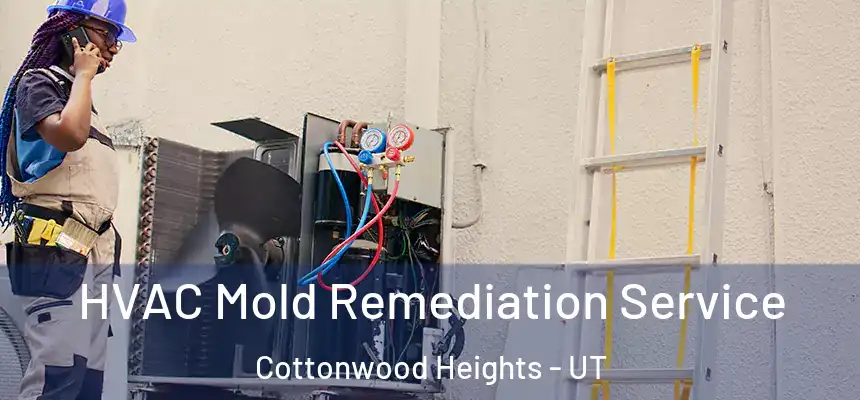  HVAC Mold Remediation Service Cottonwood Heights - UT