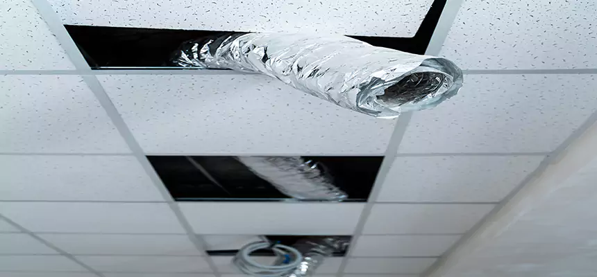 Affordable HVAC Sanitizing After Pest Removal in Cottonwood Heights