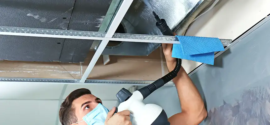 Our Air Duct Rodent Removal Services in Cottonwood Heights, UT