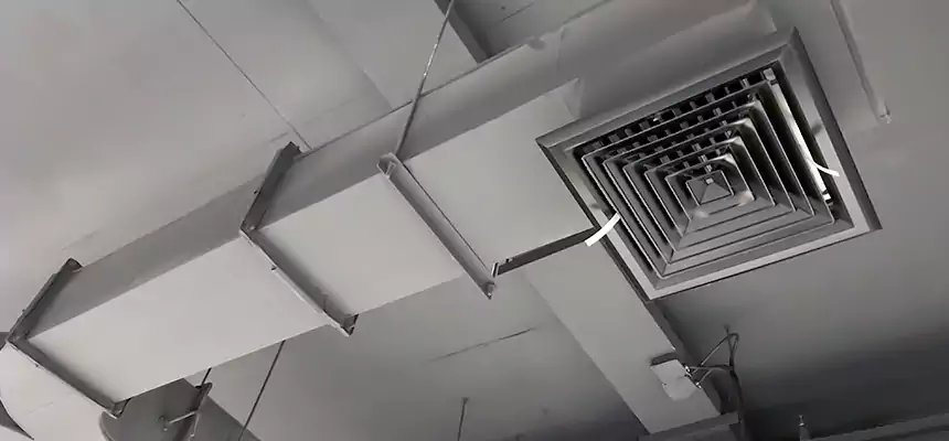 Restorative Allergy Relief Vent Cleaning – Coil, Blower & Housing Detail in Cottonwood Heights