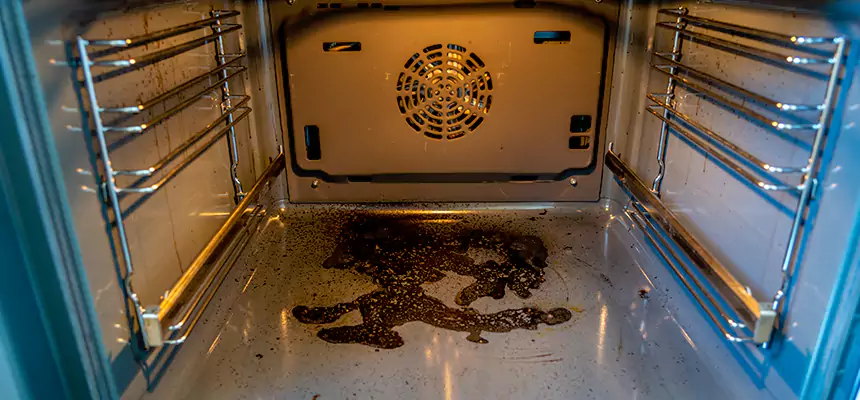 Our Dryer Vent Mold Cleaning Services in Cottonwood Heights, UT