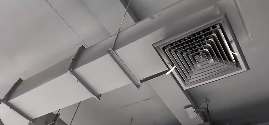 Our Pest Removal From Ducts Services in Cottonwood Heights, UT