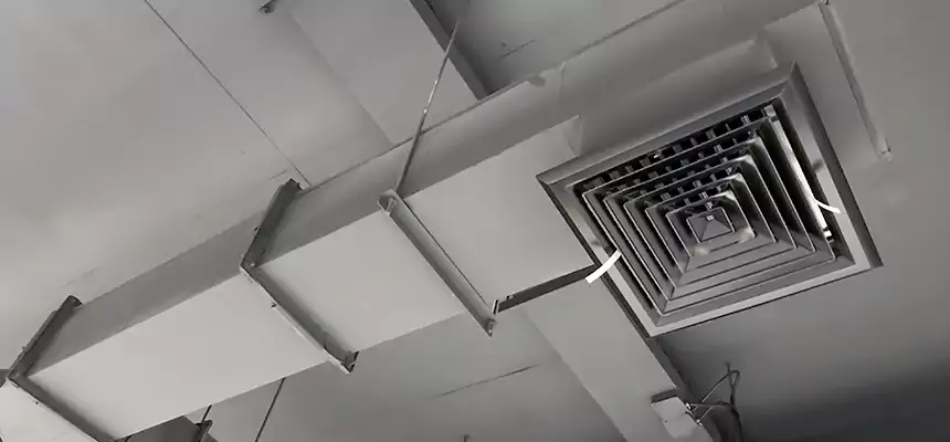 Our Rodent Droppings In Vents Services in Cottonwood Heights, UT