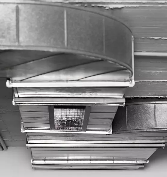 Professional Air Duct Pet Hair Removal in Cottonwood Heights, UT