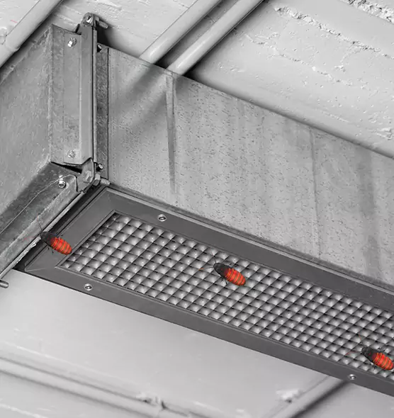 Affordable Insect Removal from Air Ducts in Cottonwood Heights, UT