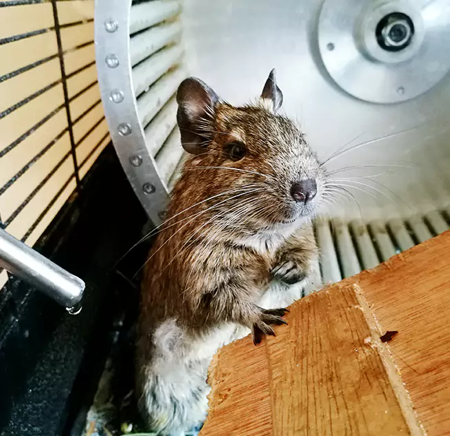 Why Homeowners & Businesses Trust Us Cottonwood Heights, UT