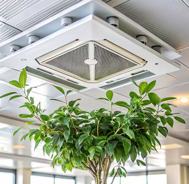 Why Homeowners & Businesses Trust Us in Cottonwood Heights, UT?