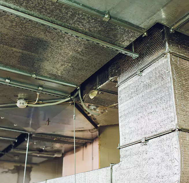 Why Homeowners & Businesses Trust Us in Cottonwood Heights, UT?